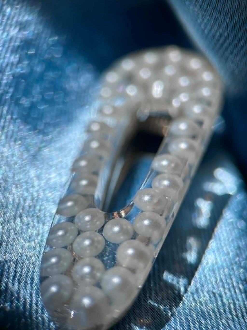 Barrettes à cheveux en résine, paillettes et fleurs séchées