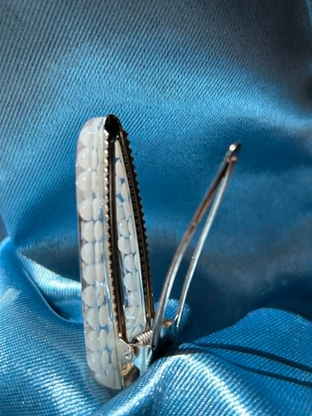 Barrettes à cheveux en résine, paillettes et fleurs séchées