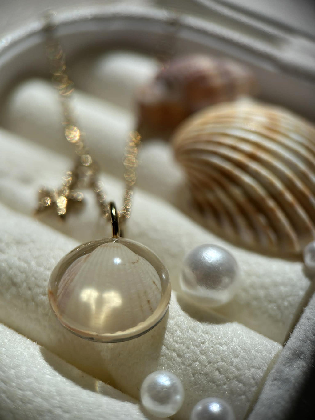 Collier doré en acier inoxydable - coquillages véritables - bijoux d'été