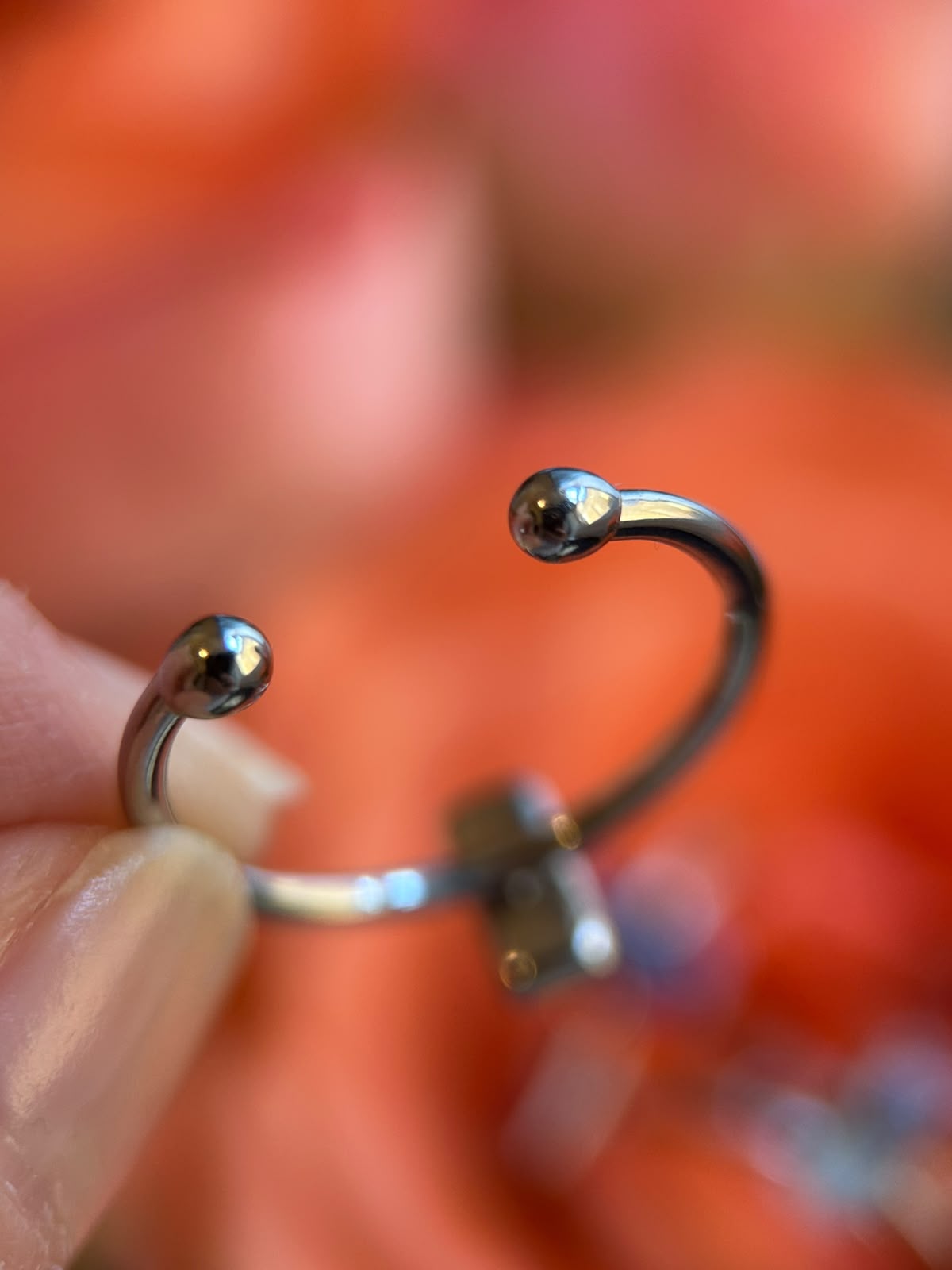 Bague ajustable argenté avec fleurs séchées