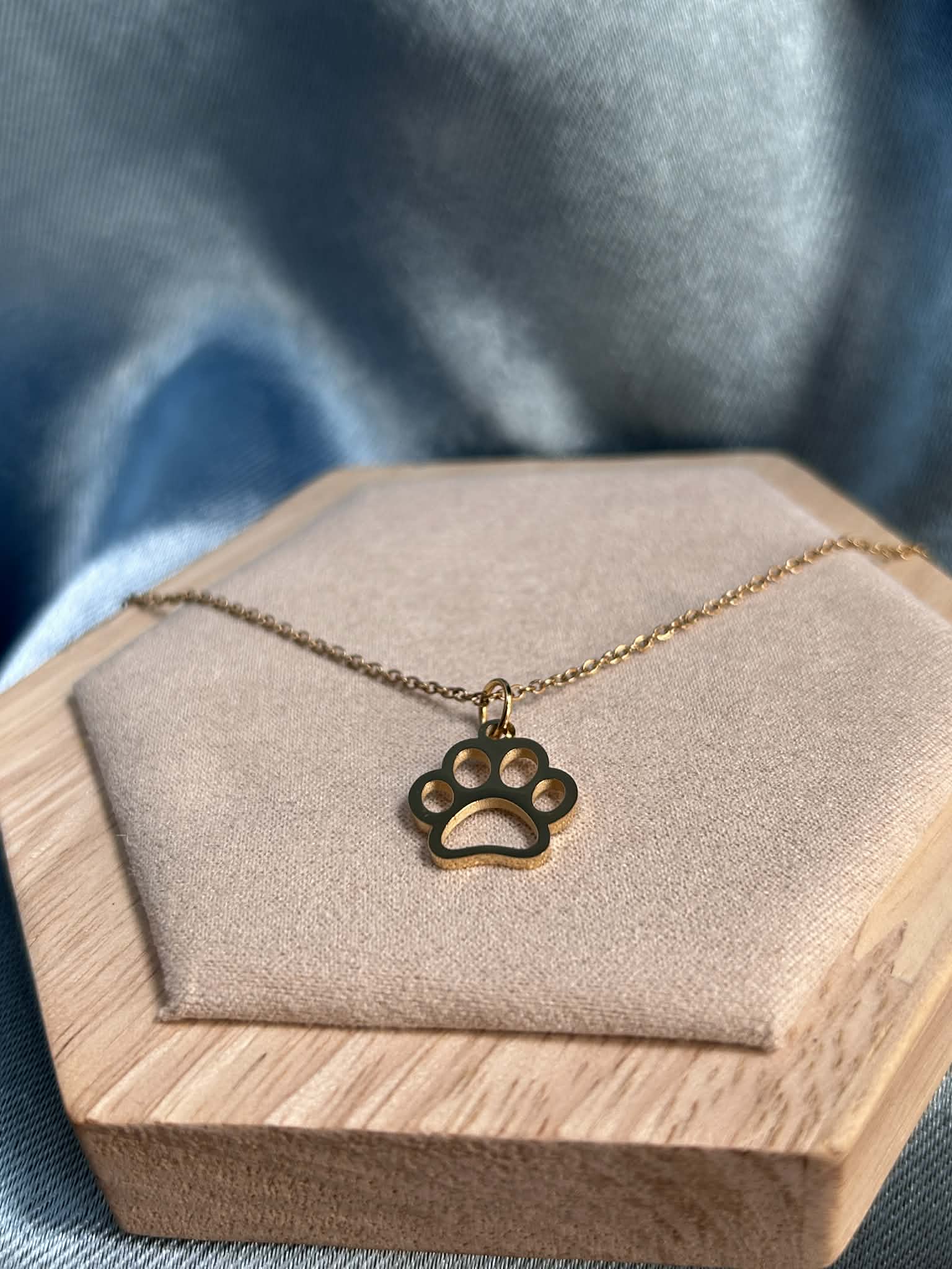 Collier avec pendentif patte de chein - personalisée avec polis