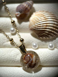 Collier doré en acier inoxydable - coquillages véritables - bijoux d'été